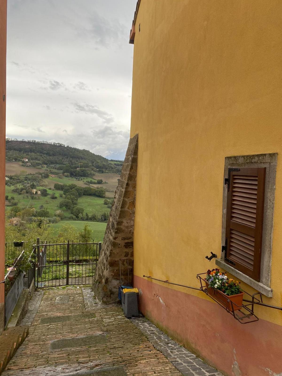 Casa Vacanze Il Geranio Celleno Buitenkant foto